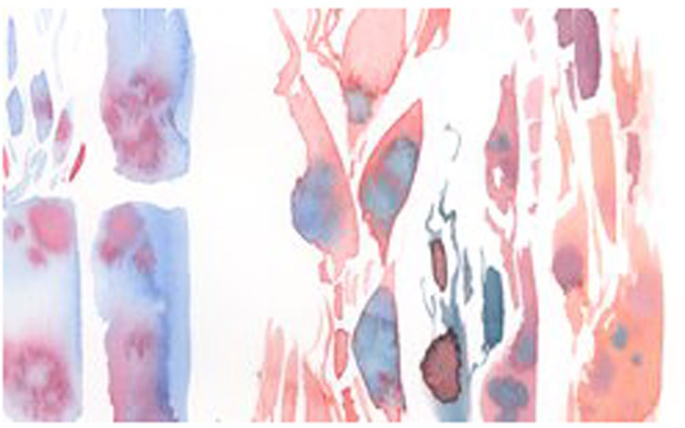 Princeton Artist Brush, Neptune Series 4750, Synthetic Squirrel Watercolor Paint Brush, Quill, Size 4 - Image 3